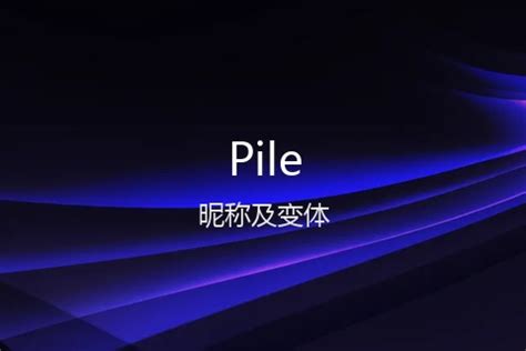 pile 意思